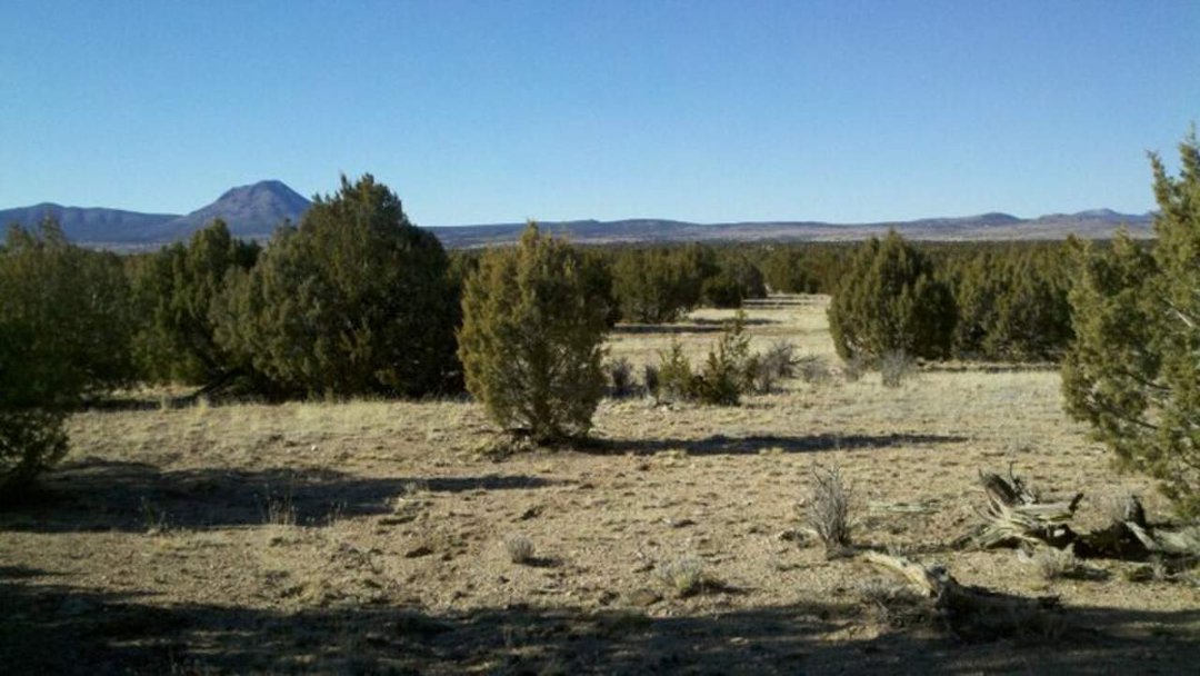 Larry Rider's album, Surveyin' some of the Old West! Does anyone know where this is?