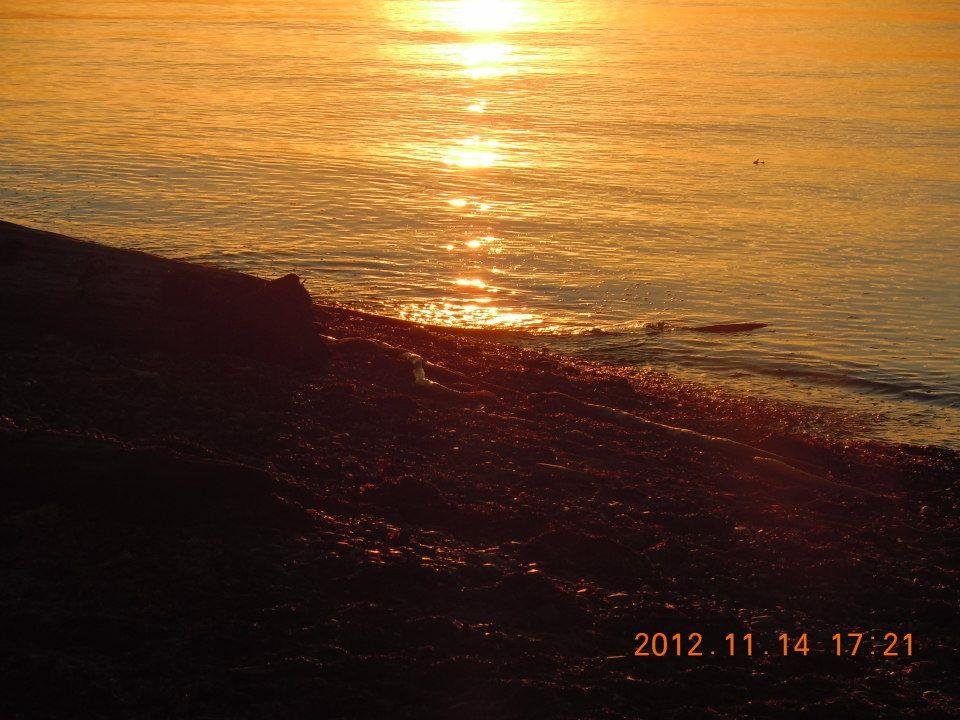 Donna Hurst's album, Sunset at Semiahmoo Resort