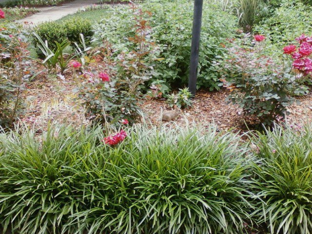 Doris Jurkiewicz's album, Timeline Photos