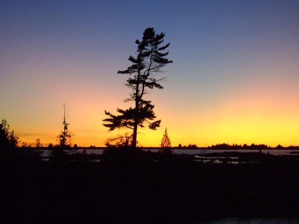 Larry Robichaud's album, Last Weekend @Machine gun Island