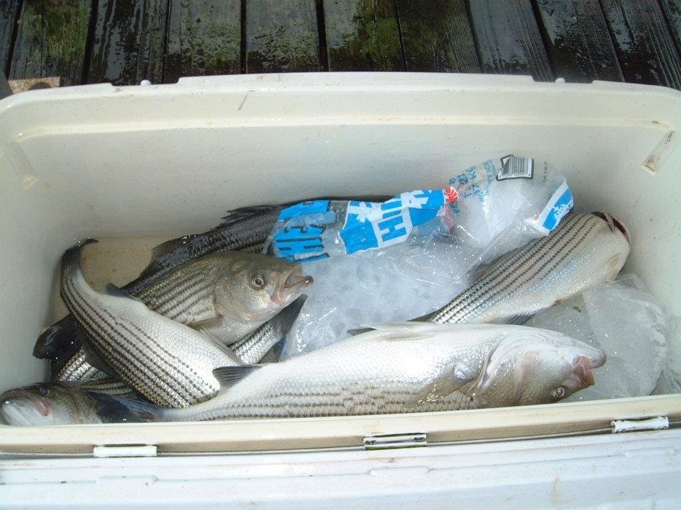 Wayne Moore's album, Lake Cumberland fishing 10/28/11