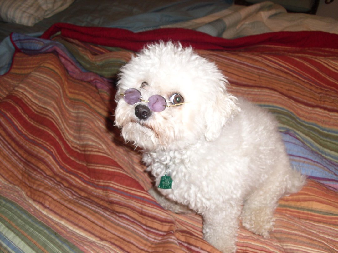 Paula Hendrick's album, Cover Photos