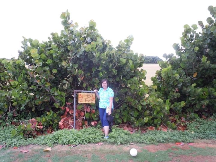 Margo Cotell's album, August 29, 2011