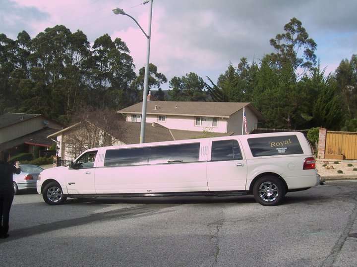 Frances Nelson's album, Andy's Jr. Prom