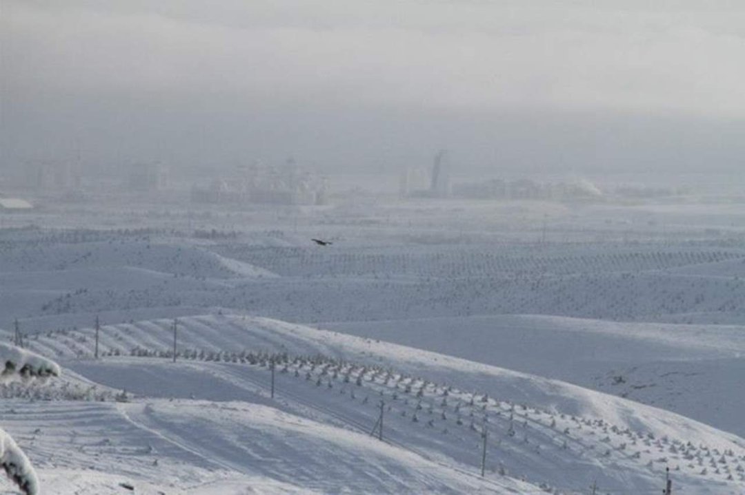 Bill Leaf's album, Snowy Kopet Dag - March 8, 2013