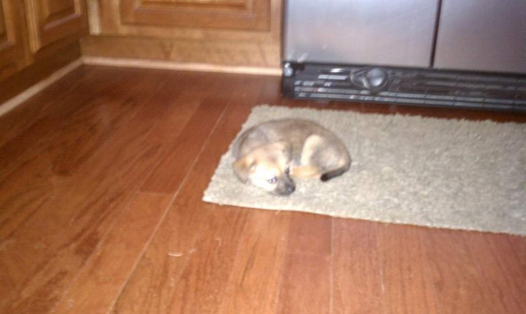 Brenda Cannington's album, New baby girl needs a name