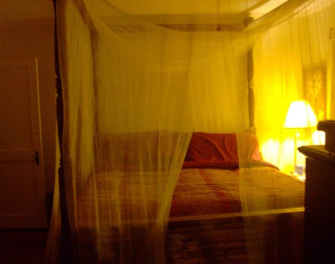 Jennifer Hutchinson's album, BED