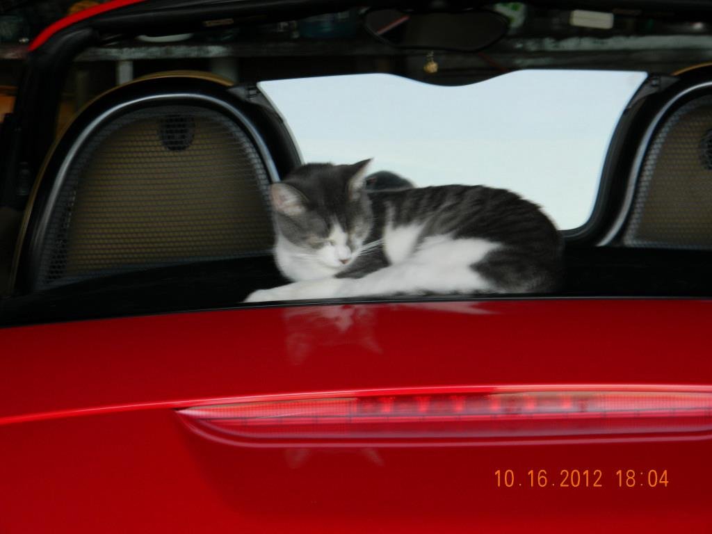 Gary Jones' album, Cover Photos