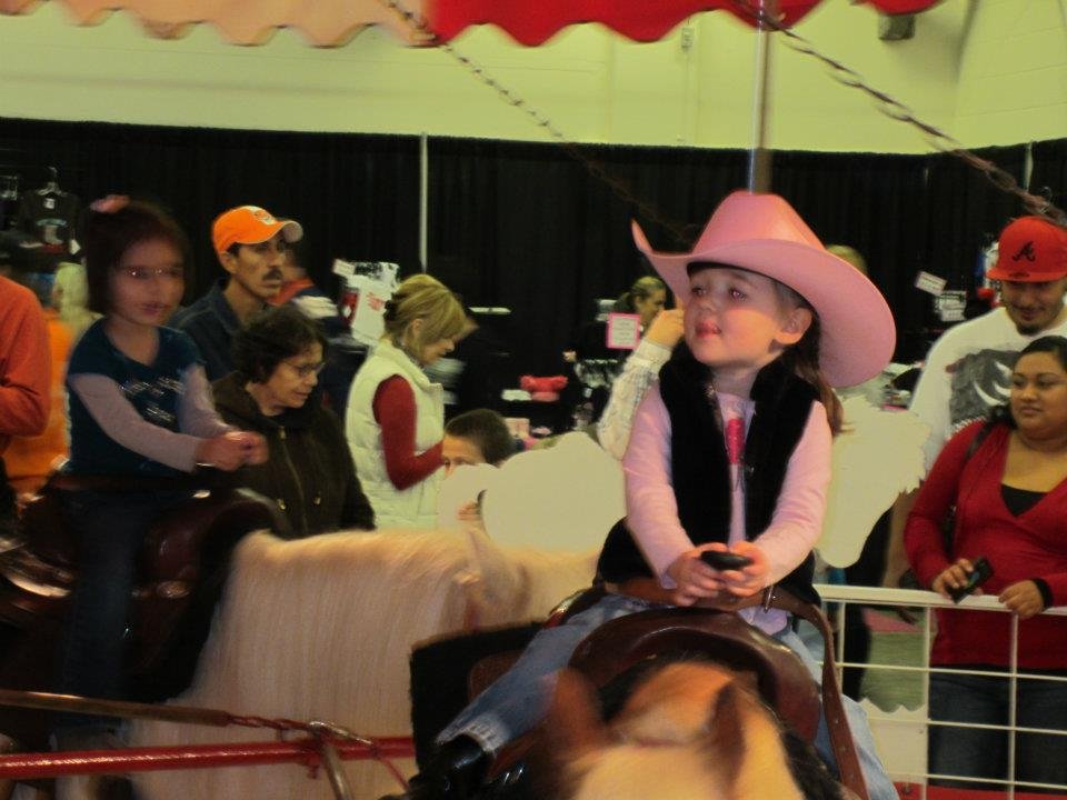 Tami Roberts' album, Taking Kaitlyn to the Stock Show