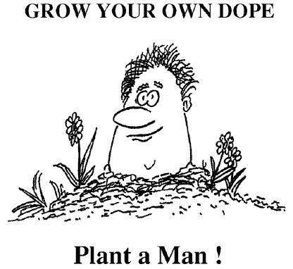 Mark Norgaard's album, Timeline Photos