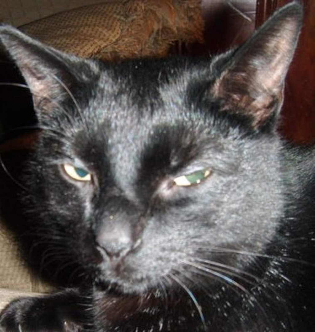 Loretto Brown's album, Profile Pictures