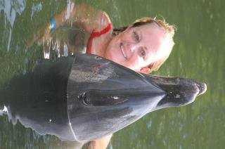 Jane McGill's album, playing with dolphins