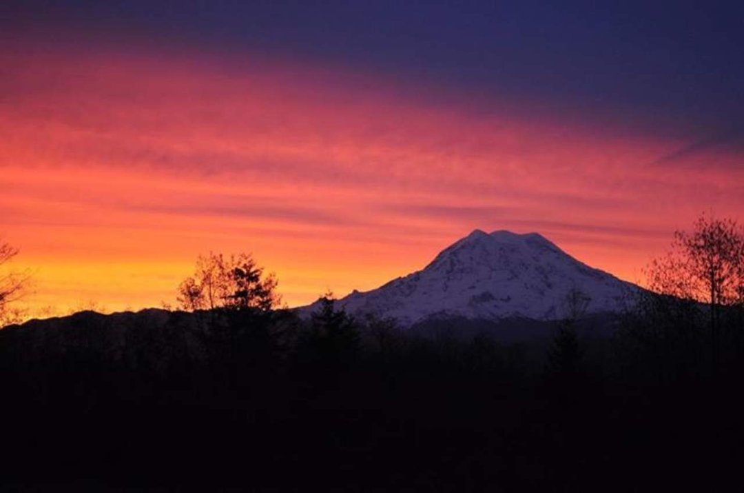 David Dutton's album, Cover Photos