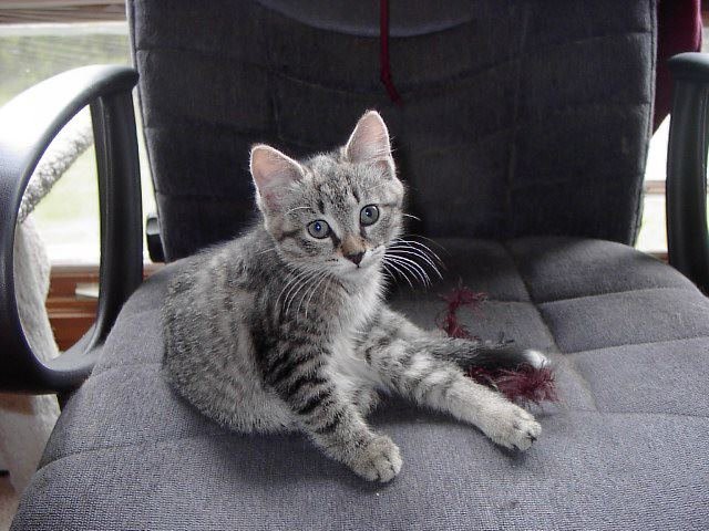 Francis  Uva's album, Timeline Photos