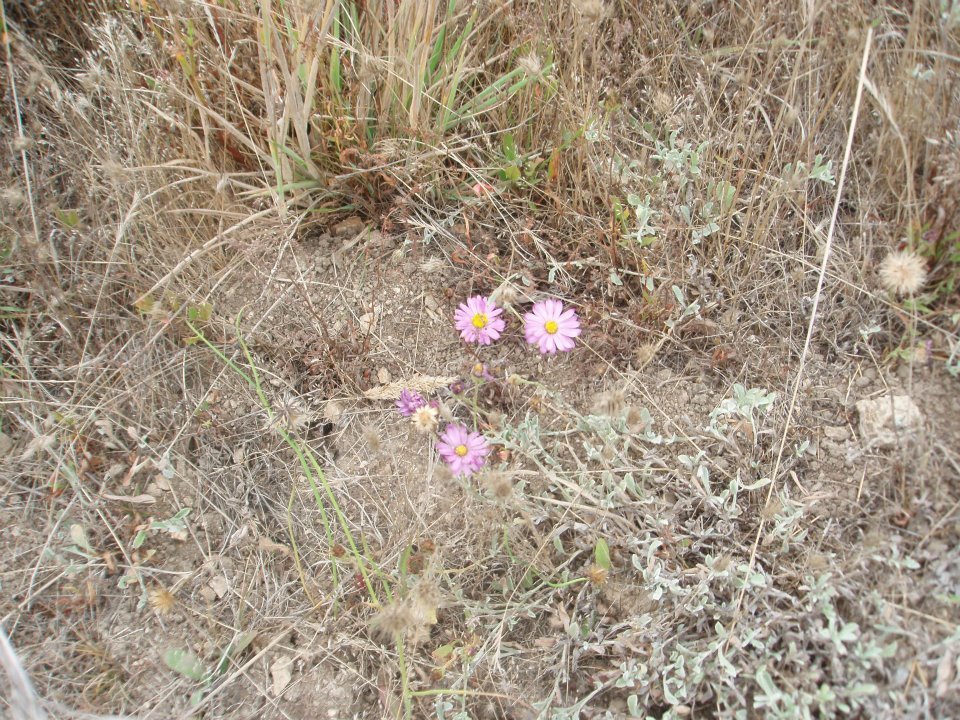 Maria Ossipoff's album, Point Reyes Backpacking Trip