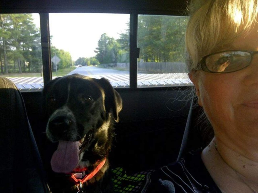 Janice Elrod's album, pets