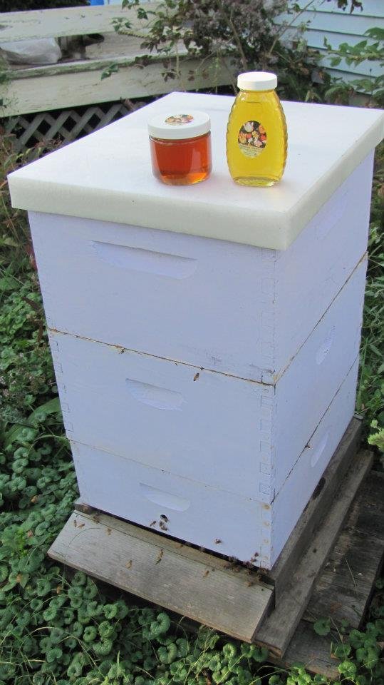 Ernie Johnson's album, Thank you Bee Ladies.... we're in the honey!