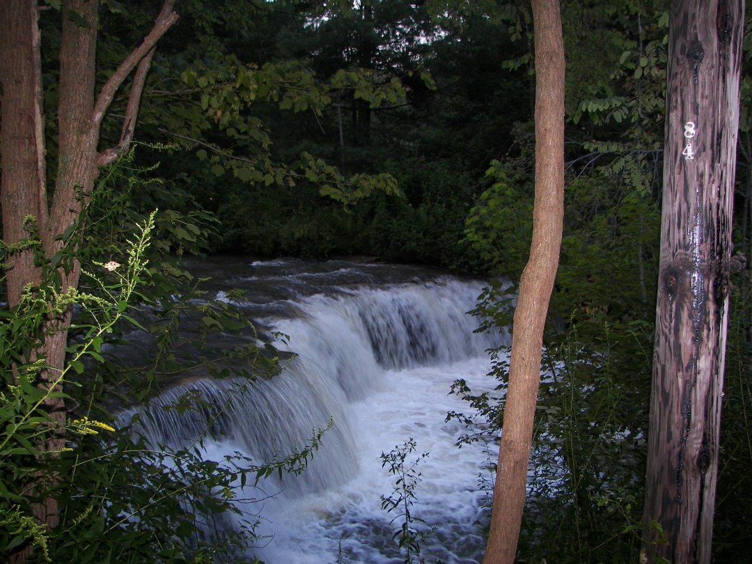 Carl Michael Moss' album, Douglas Falls/Blackwater Falls
