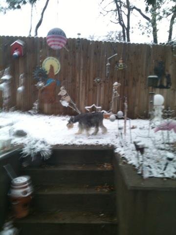 John Faison's album, iOS Photos