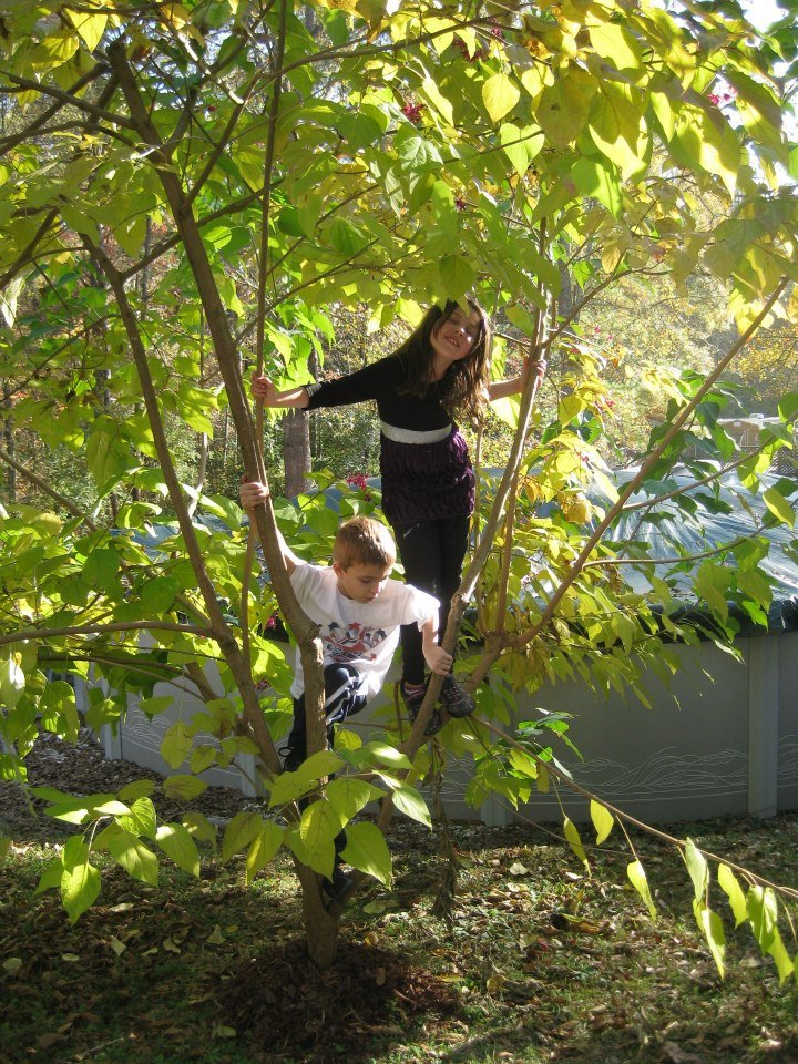 Irene Bohn's album, Thanksgiving 2012