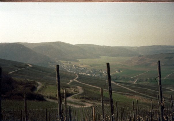Sharon Libby (Haggard)'s album, Germany
