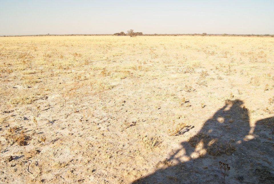 Greg Roworth's album, Kalahari