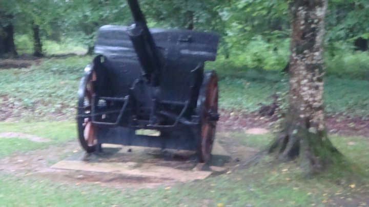 Kevin Padron's album, France 2010 Belleau Wood
