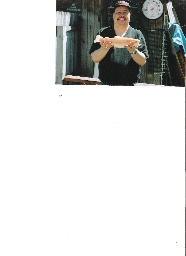 James Lydon's album, Profile Pictures