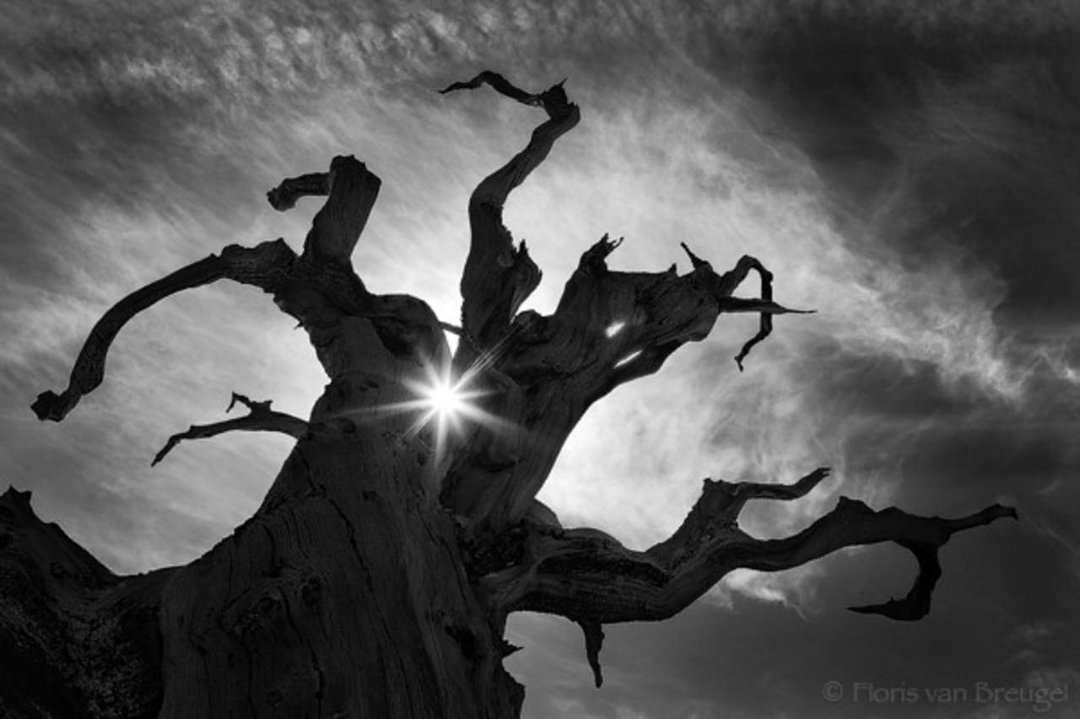 Taumy Gilbert's album, Cover Photos