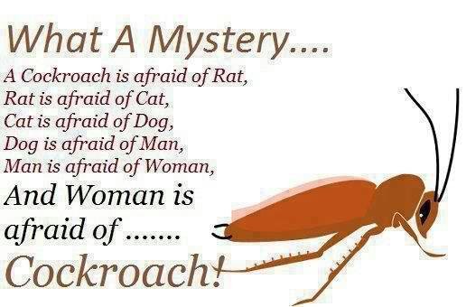 Mark Allen's album, Mobile Uploads