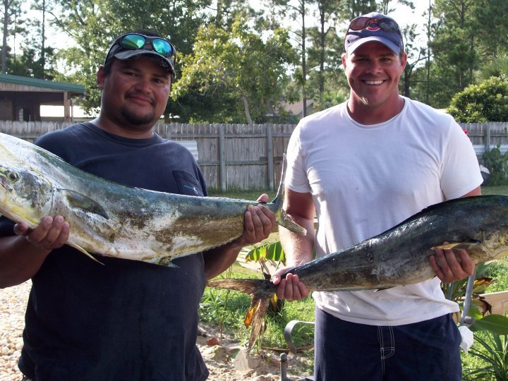 Jose Ojeda's album, fish