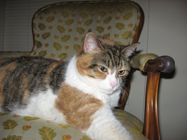 Cathleen Ruble's album, Profile Pictures