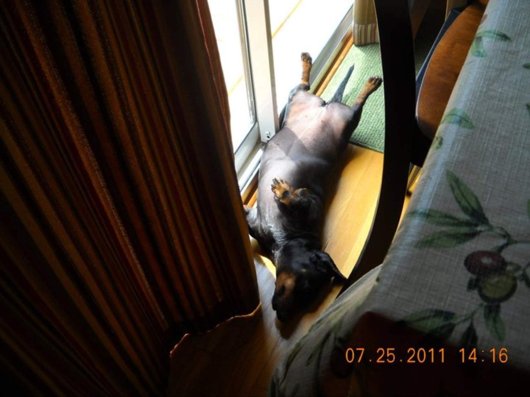Keith Craddock's album, July 26, 2011