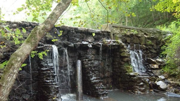 Debra Fox's album, Cover Photos