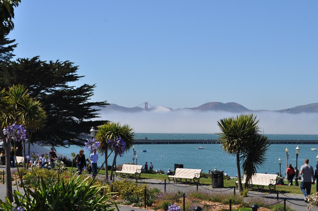 Donna Rutherford's album, San Francisco 2010