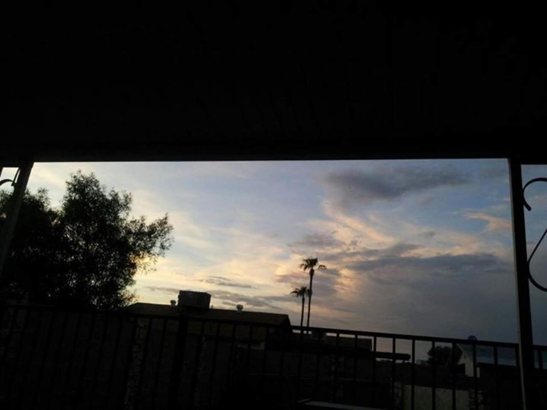 Carol Ann Nations' album, Cover Photos