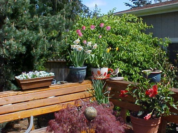 Barbara Kent's album, Yard Pictures