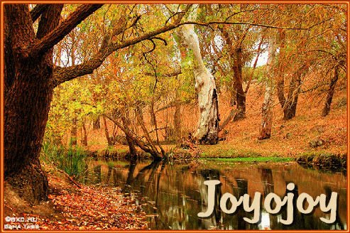 Joyce Olson-Baer's album, Mobile Uploads