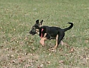 Jerry Goodale's album, Mobile Uploads