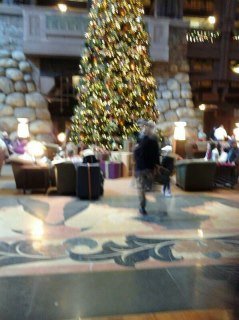 Kathy Kellogg's album, Mobile Uploads