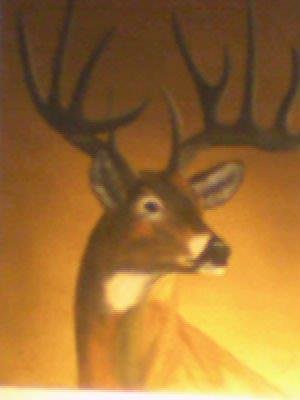 Jay Buck's album, Profile Pictures