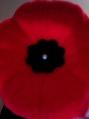 Heather MacLean's album, Profile Pictures
