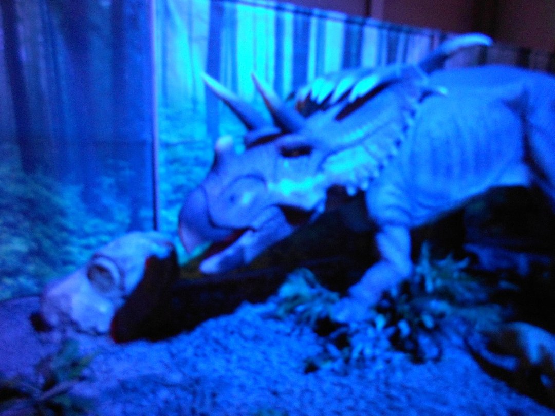 Cindy Lee's album, Discover The Dinosaurs
