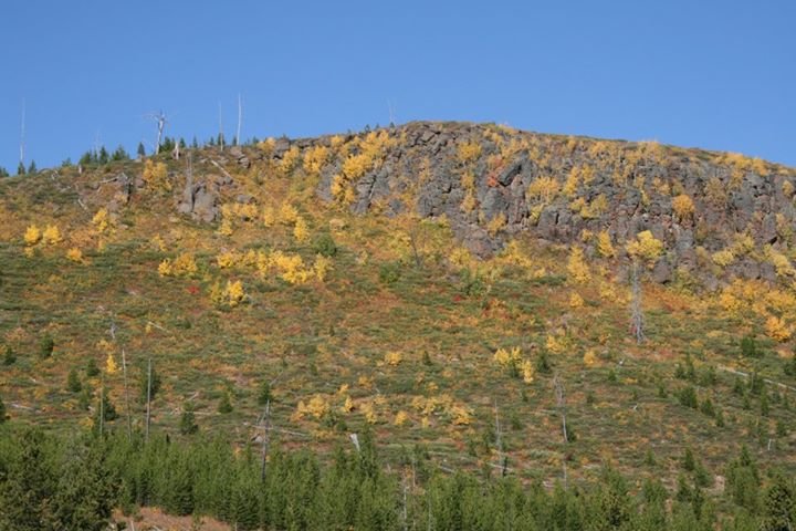 John Garrison's album, Some Road Trip Photos