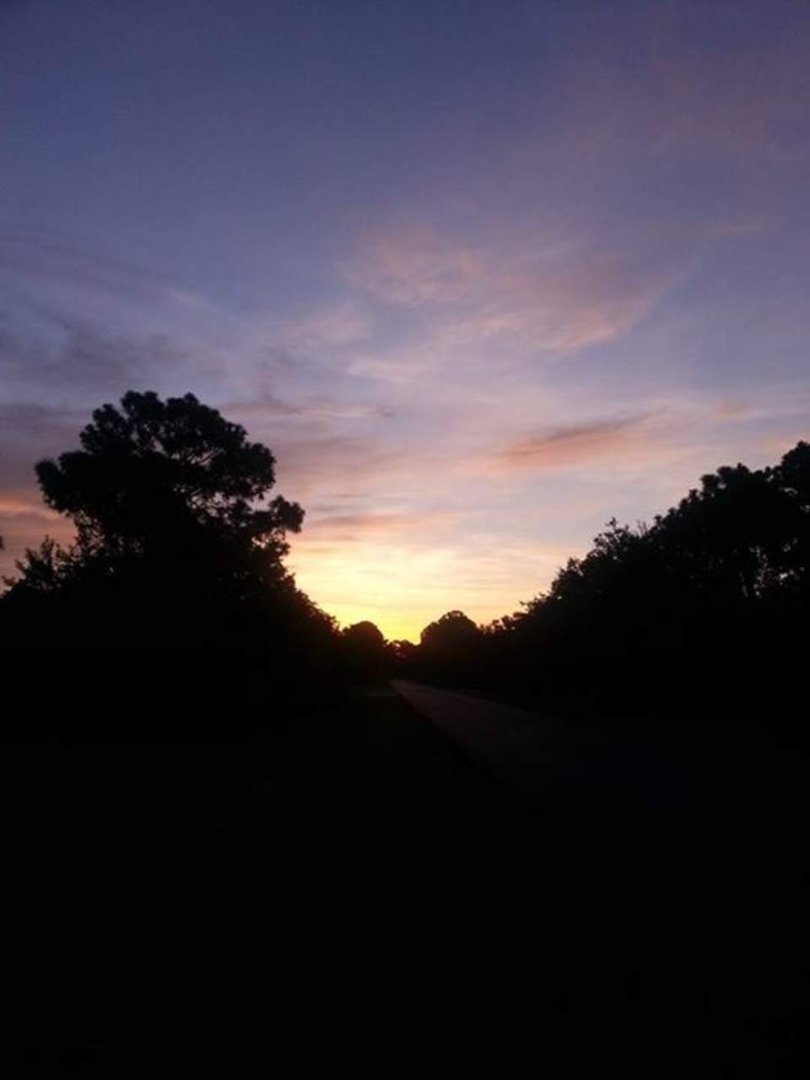 Ed Tasher's album, Mobile Uploads