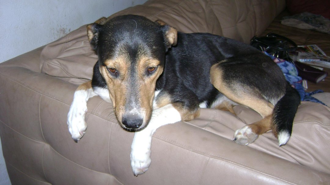 Todd Born's album, Shiloh June 2011