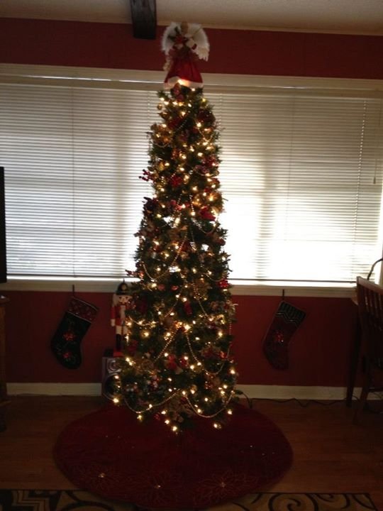 Nedra Bohannon's album, Cover Photos