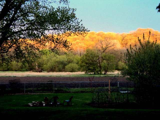 Phyllis Huseth's album, Timeline Photos