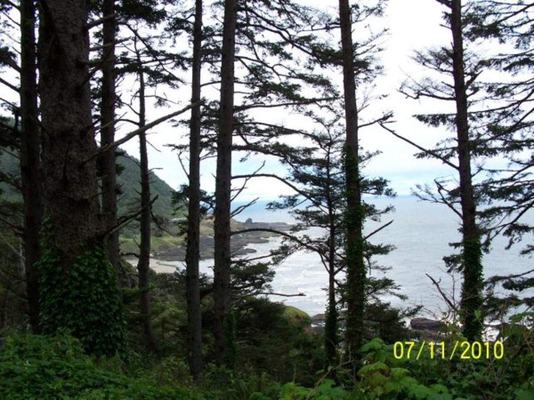 John Bohls' album, Cover Photos