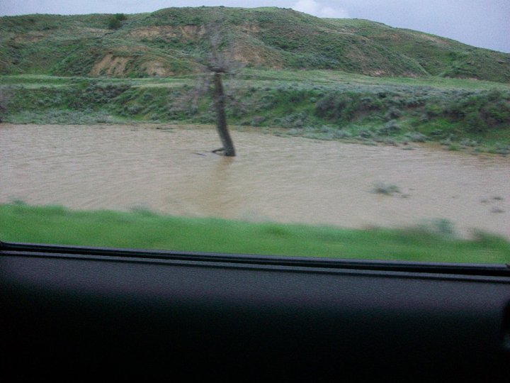 Susan Mann's album, May 23, 2011